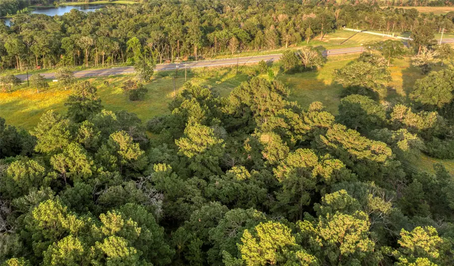 4749 Highway 36 N, Bellville, TX 77418 - #3