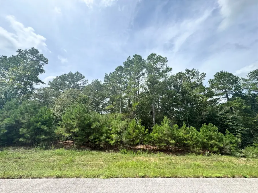 5-27-10 Falcon Court, Huntsville, TX 77340 - #2
