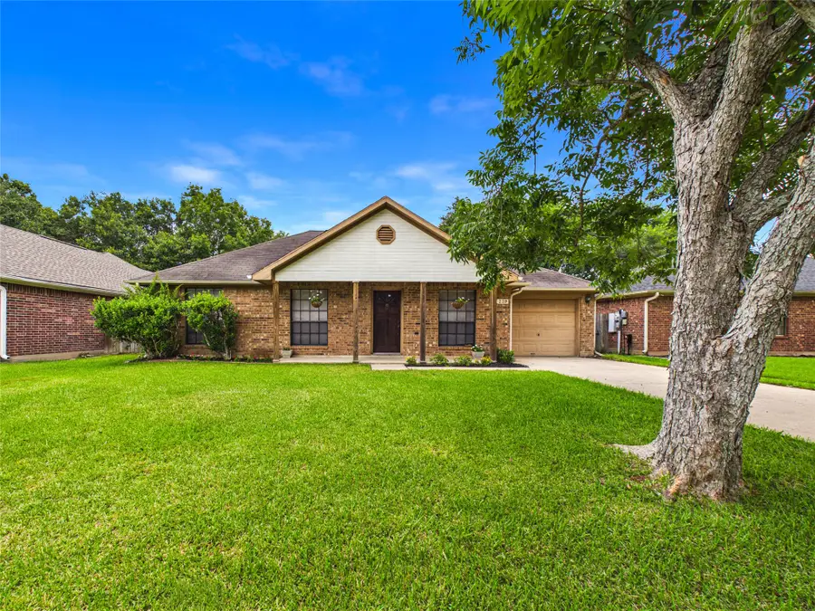 2955 County Road 855c, Alvin, TX 77511 - #3