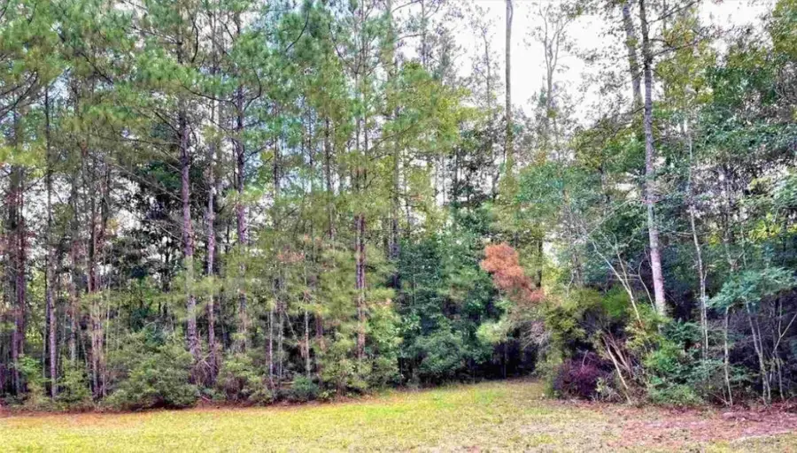 lot 2 S Fm 562, Anahuac, TX 77514 - Image #3