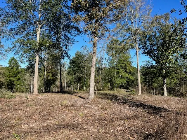 TBD LOT 26 Addison Rd, Livingston, TX 77351 - #2