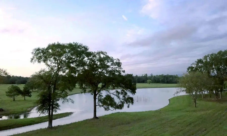 15229 Forest Grove Drive, Willis, TX 77378 - #2