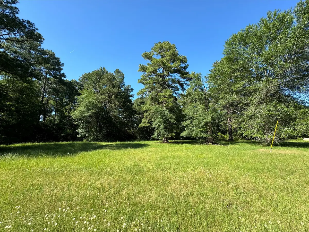 28 Oakridge North, Trinity, TX 75862 - #1