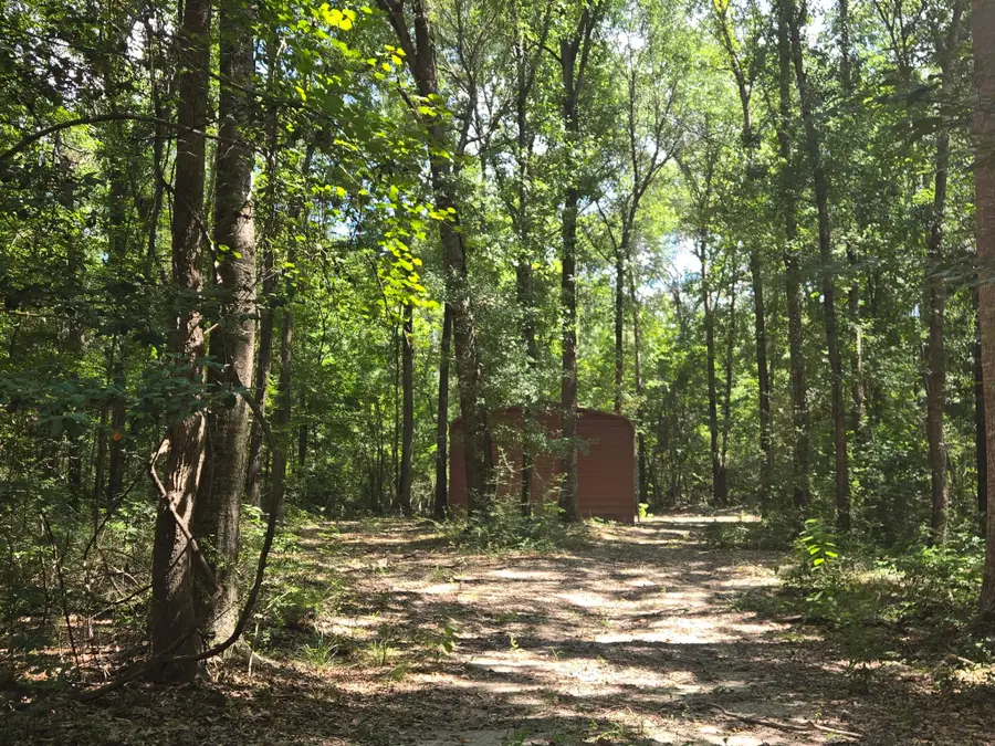 9 Bridges Road, Corrigan, TX 75939 - #2