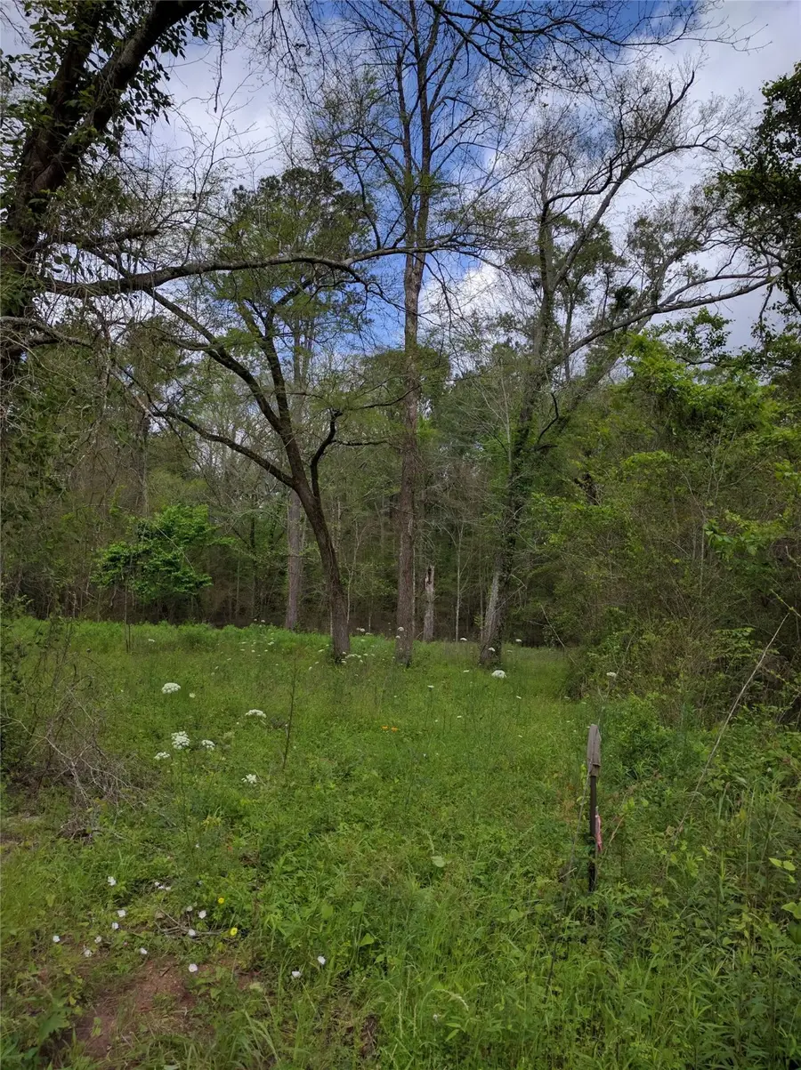 50G Jock Street, Livingston, TX 77351 - Image #3