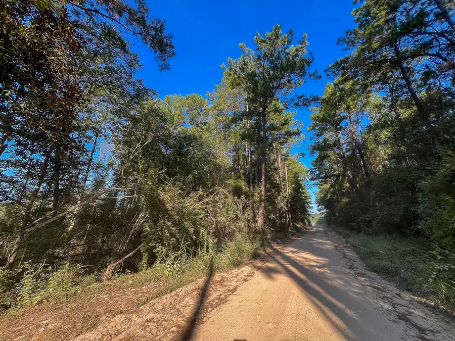 1 Dillon Road, Big Sandy, TX 75755 - #3