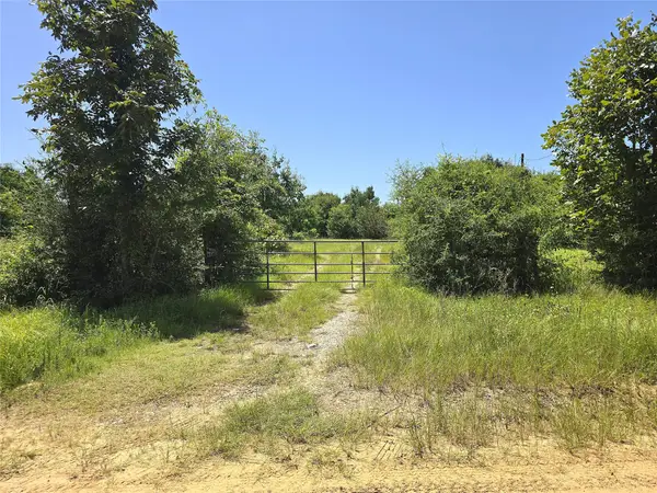 740 Ole Miss, Livingston, TX 77351