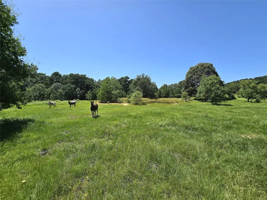 740 Ole Miss, Livingston, TX 77351 - #2