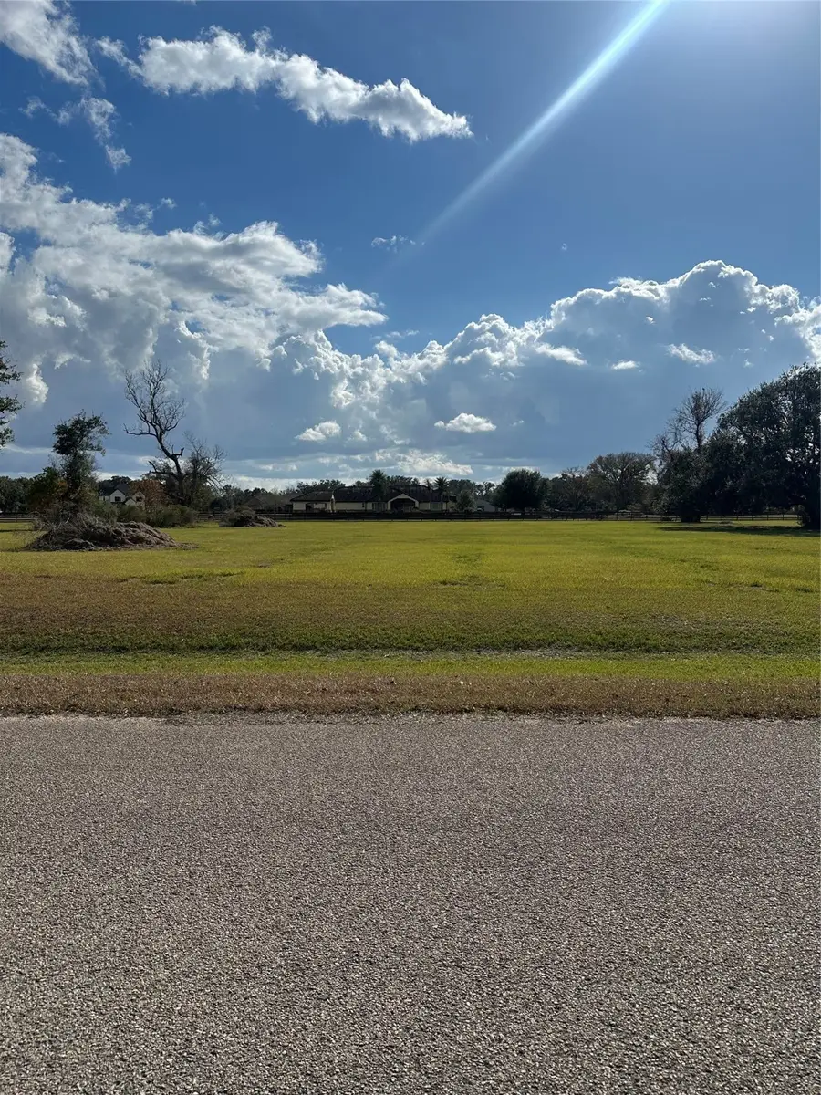 16827 Hamill Drive, Rosharon, TX 77583 - Image #2