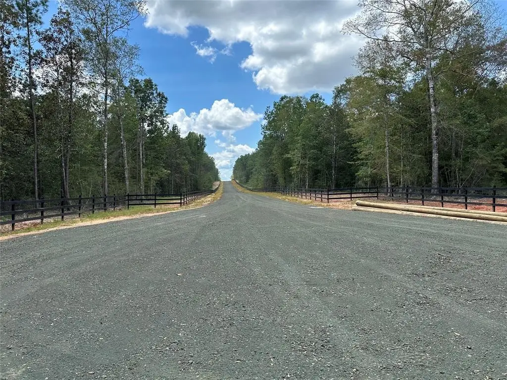 Tract 7A Timberland Branch Drive, Woodville, TX 75979 - #1