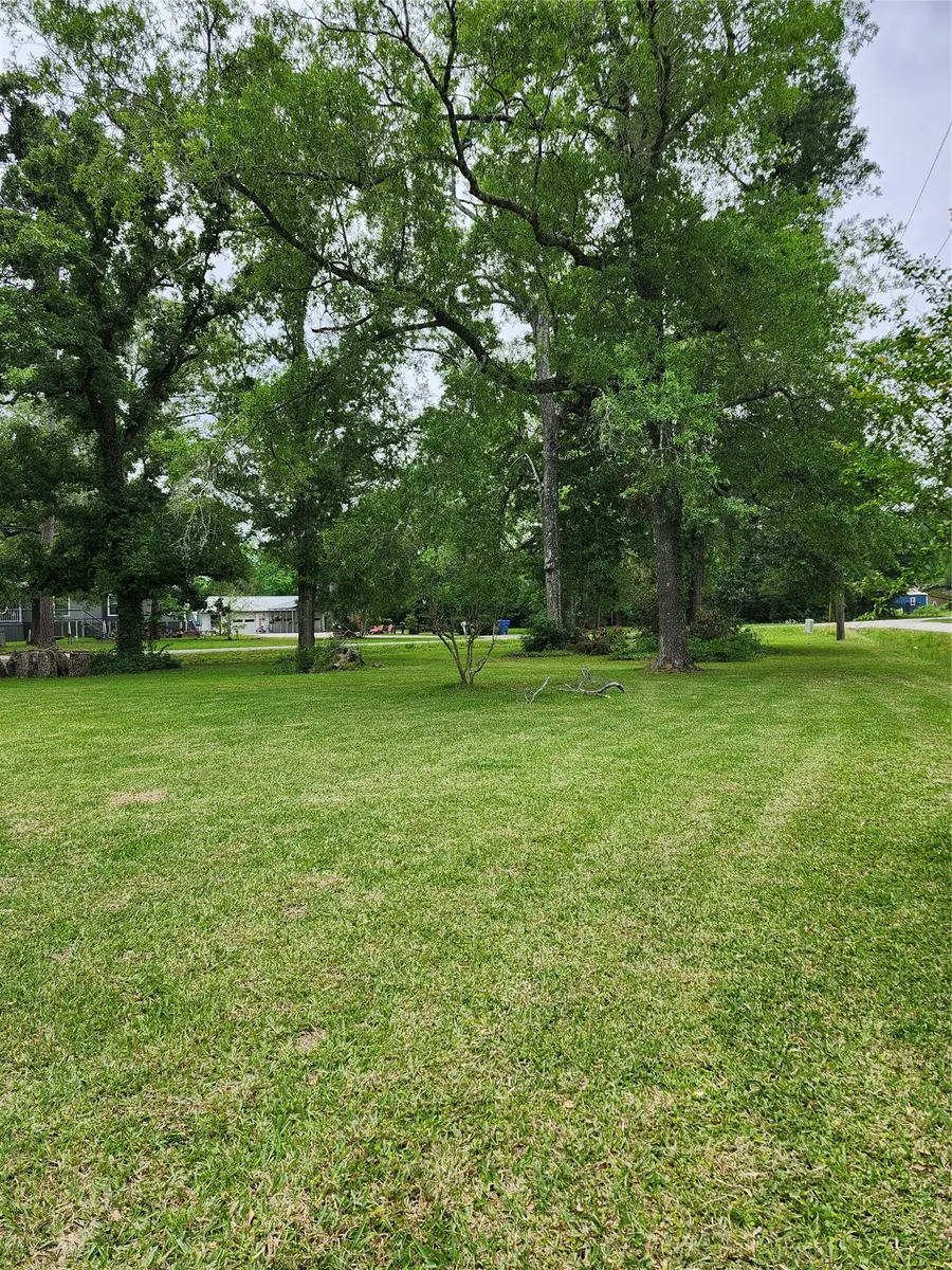 23164 Albert Drive, Porter, TX 77365 - #3