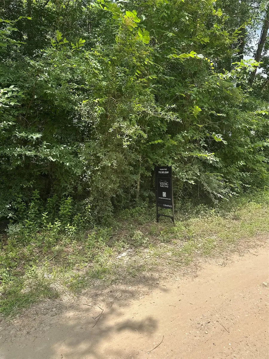 19164 Suffolk, New Caney, TX 77357 - #3
