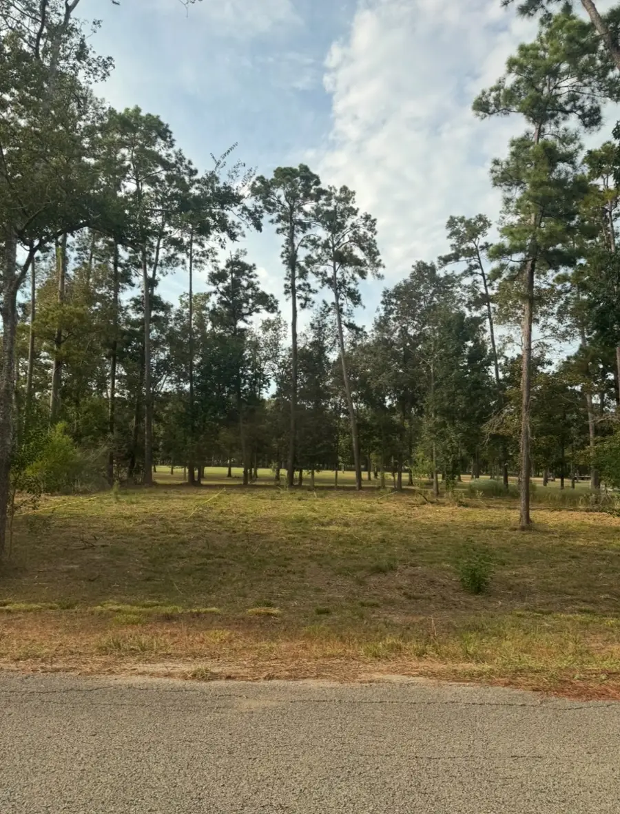 0 Echo Lane, Huffman, TX 77336 - Image #2