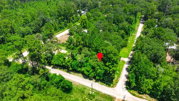 0 Elaine Avenue, Shepherd, TX 77371