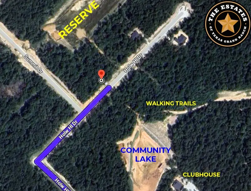 191 Hollow Hill Road, New Waverly, TX 77358 - #3