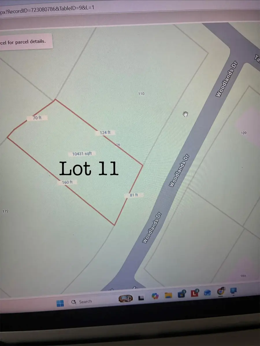 0 Woodlands Drive, Trinity, TX 75862 - #2