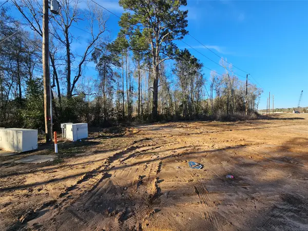 Lot 2 Sherwood Drive, Shepherd, TX 77371
