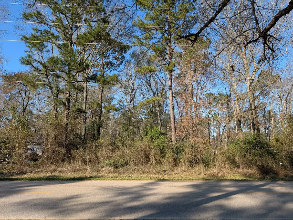 25865 Cambridge Boulevard, New Caney, TX 77357 - #1