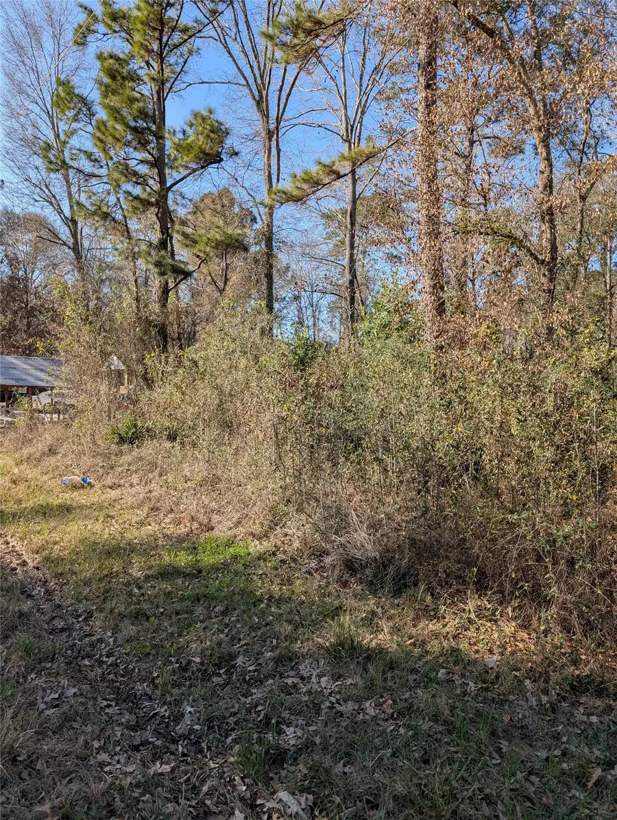 25865 Cambridge Boulevard, New Caney, TX 77357 - #3