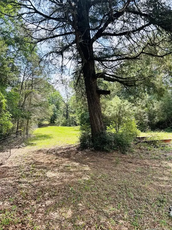 25 Acres Dunlavy Road, Cat Spring, TX 78933 - #3