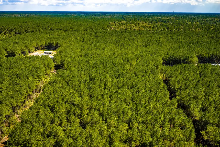 0 Duff Road, Livingston, TX 77351 - #3