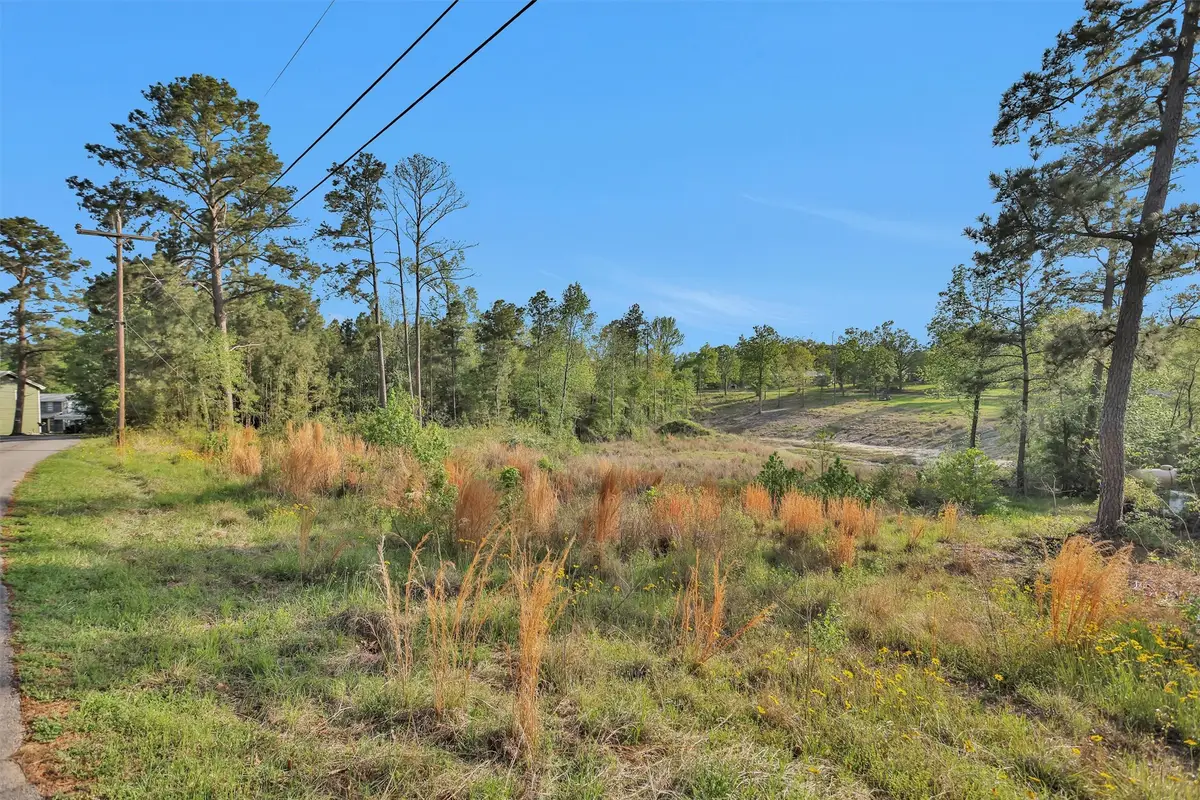 8 Lake Shore Lane, Huntsville, TX 77320 - #1