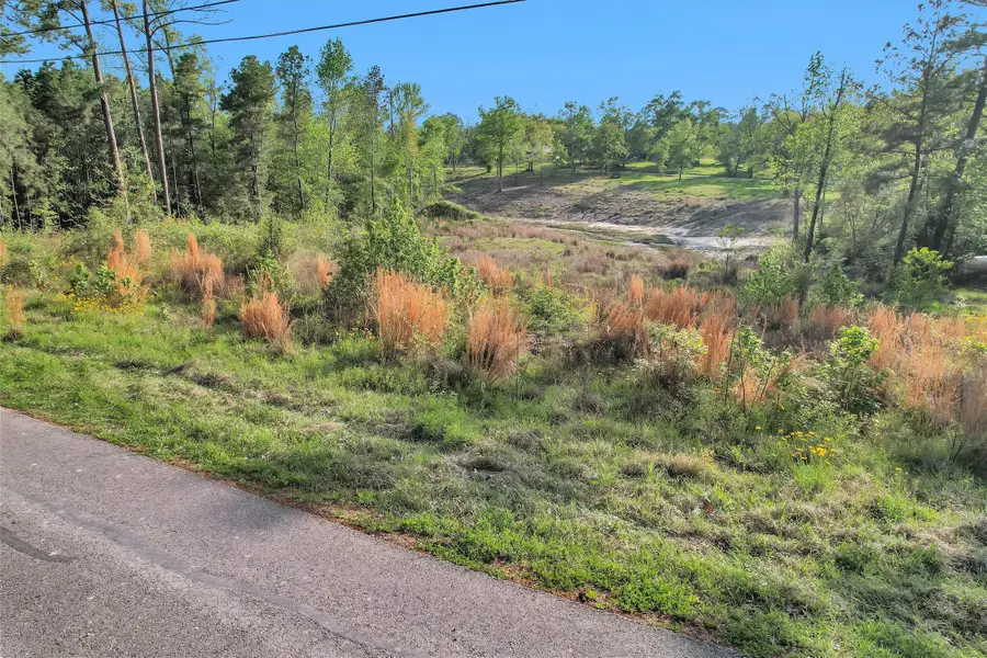 8 Lake Shore Lane, Huntsville, TX 77320 - #3