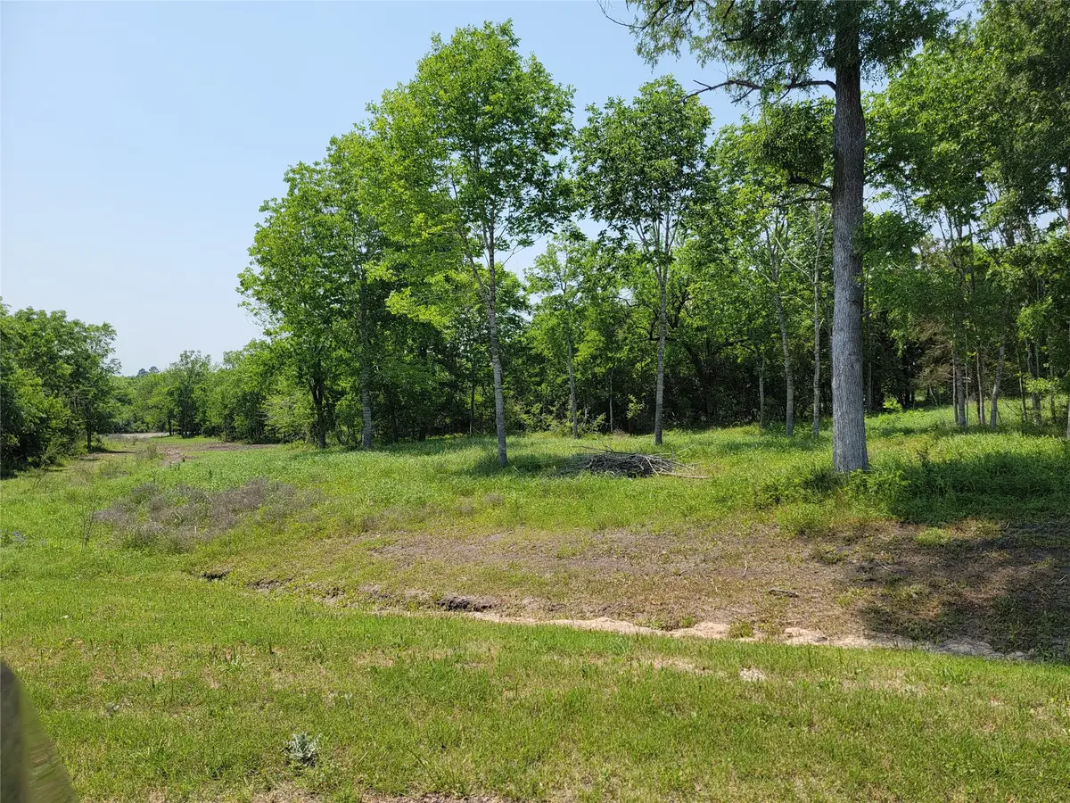 00 Fm 1155 Lot 20 N, Washington, TX 77880 - #1