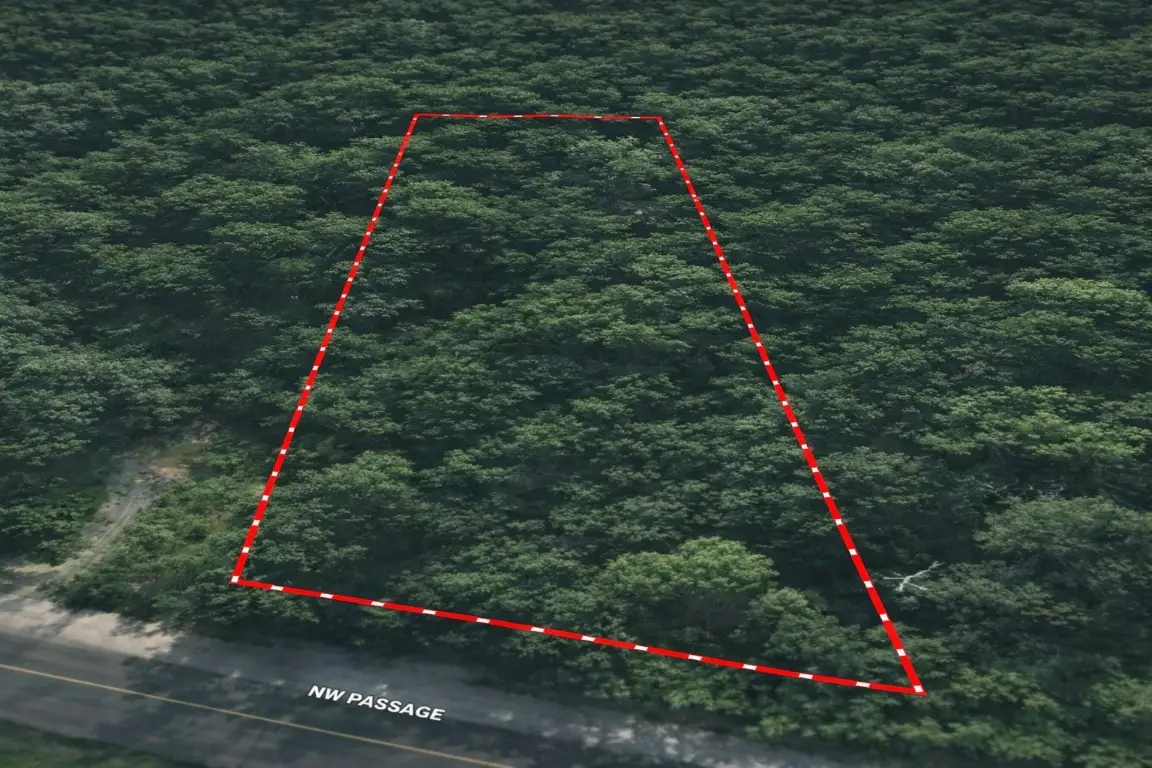 00 Northwest Passage, Plantersville, TX 77363 - #1