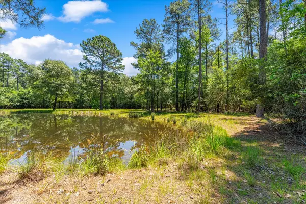 28623 Beth Marie, Magnolia, TX 77355