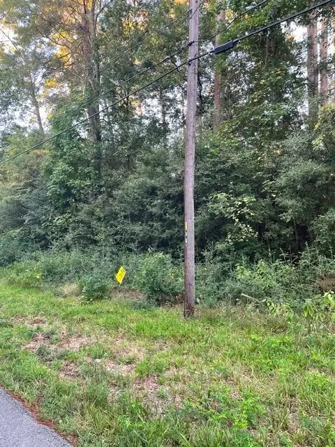 TBD .51 AC Pecan Dr, Montgomery, TX 77356 - #1
