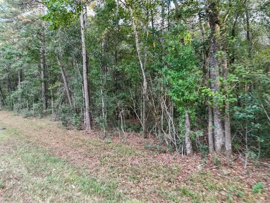 0000 Tbd Fm 1725, Cleveland, TX 77328 - #2