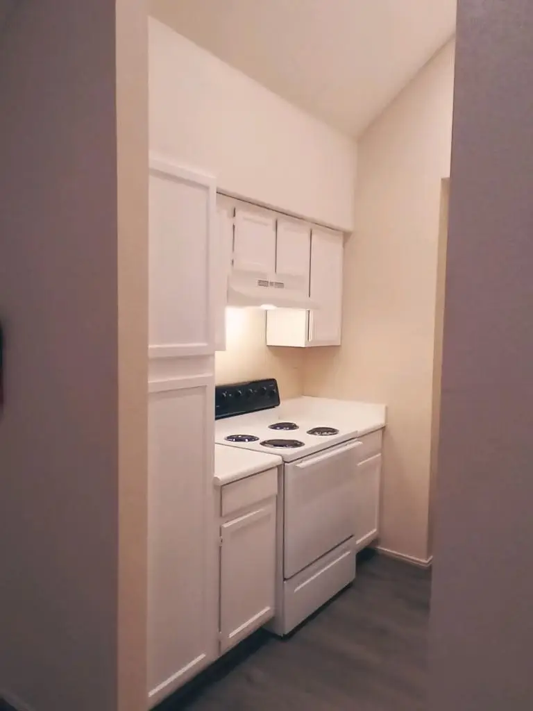 14550 Fonmeadow Drive #1100, Houston, TX 77035 - #2