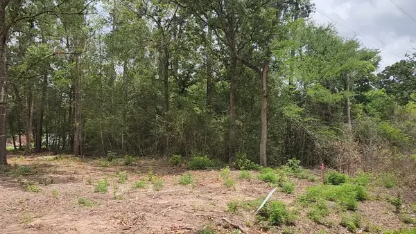 Lot 10 B53 Sweetleaf Lane, Plantersville, TX 77363