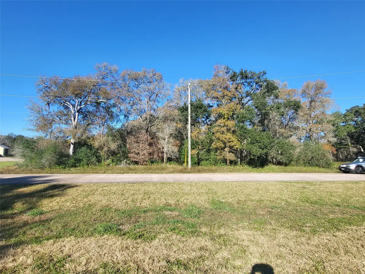 592 Cabana Trail, Angleton, TX 77515 - Image #1