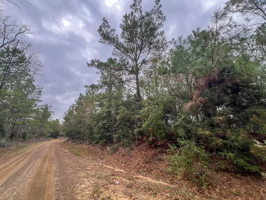 T-2 County Road 1019, Newton, TX 75966 - #3
