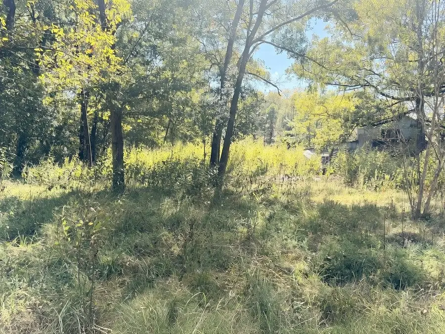 10 Neuman Street, Coldspring, TX 77331 - #3