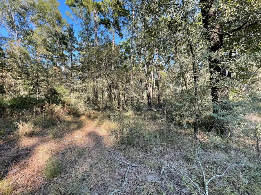 136 Forrestcrest Drive, Livingston, TX 77351 - #3