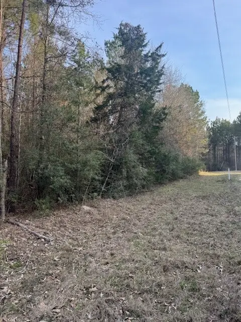 TBD Piney Creek Subdivision, Corrigan, TX 75939 - #3