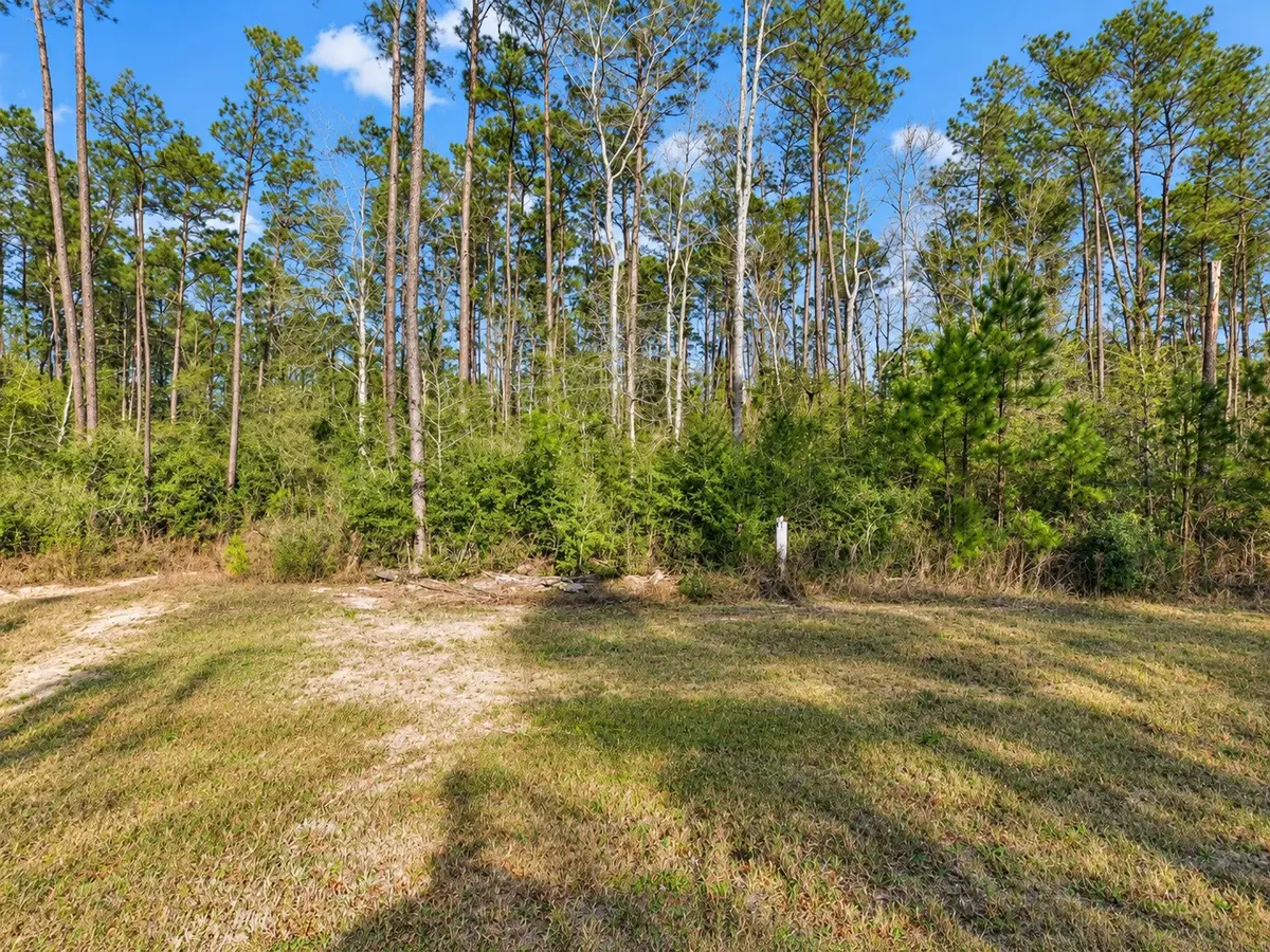 10721 Ruger Road, Willis, TX 77378 - #1