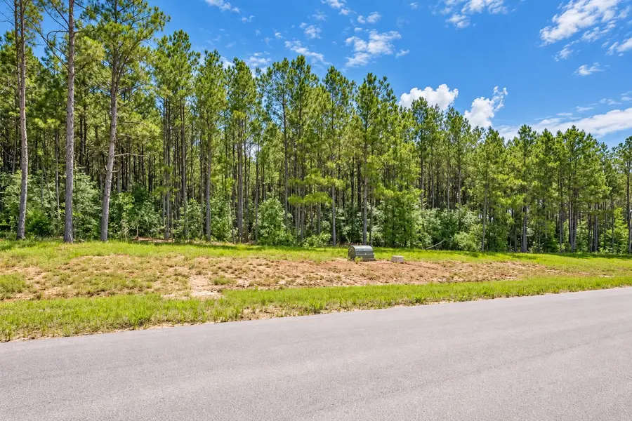 10721 Ruger Road, Willis, TX 77378 - #2