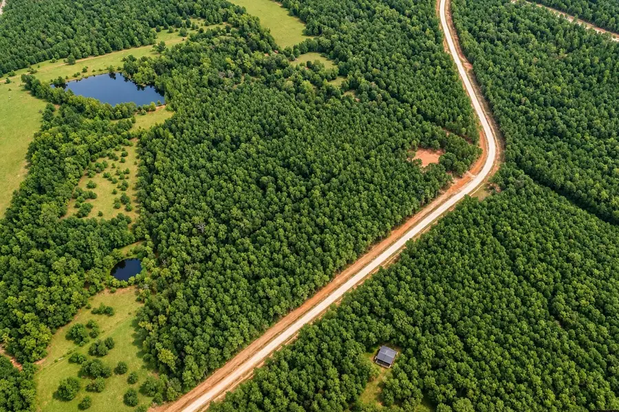 10721 Ruger Road, Willis, TX 77378 - #3