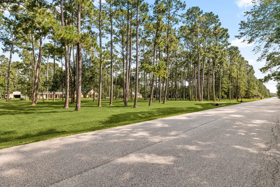 7302 Pine Drive, Alvin, TX 77511 - #2
