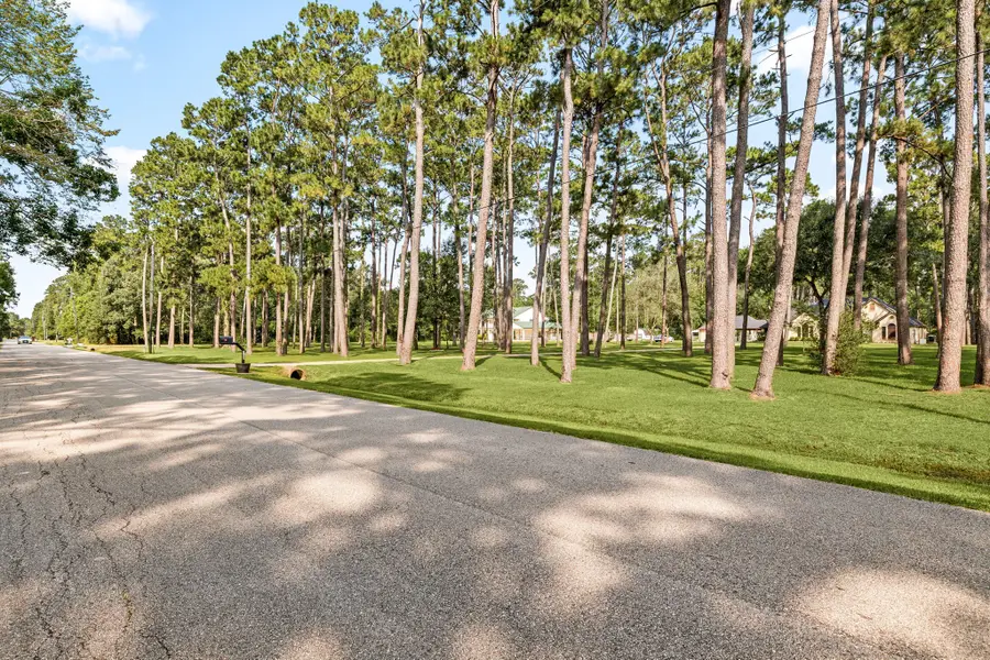7302 Pine Drive, Alvin, TX 77511 - #3