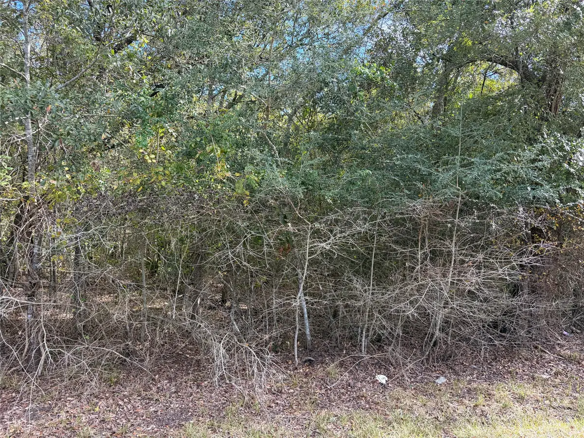 00 Bayou Drive, Danbury, TX 77534 - #1