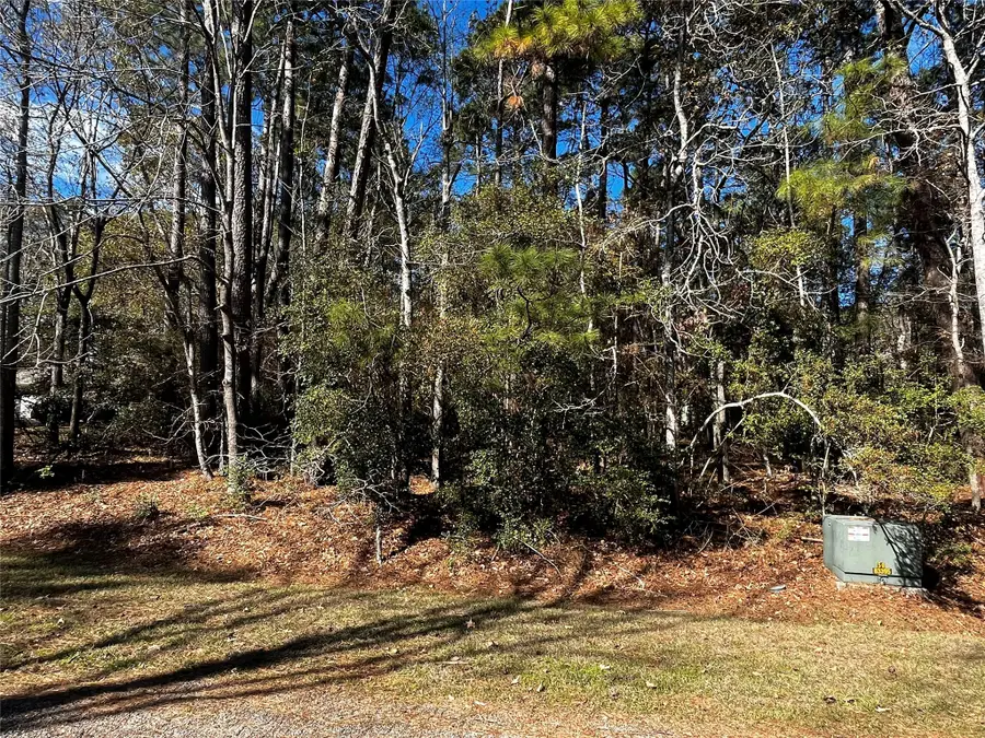 10 Wentworth Lane, Coldspring, TX 77331 - #3