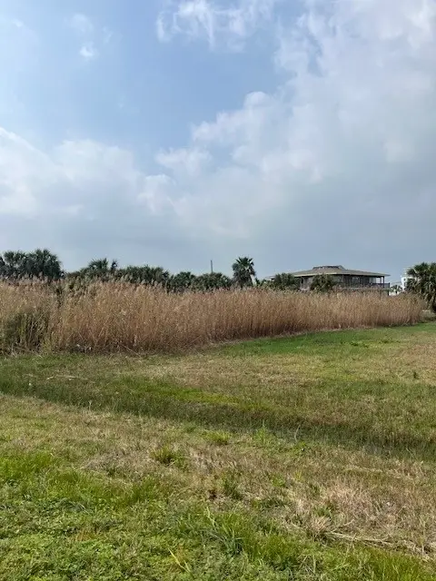 32 Lot 32 Palm Beac, Galveston, TX 77554 - #2