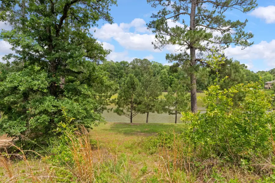 6919 Texas Trace, Montgomery, TX 77316 - #2
