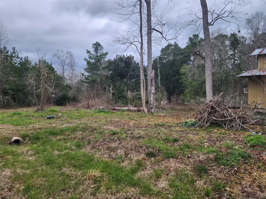 428 Hillbilly Heaven Road, Livingston, TX 77351 - #2