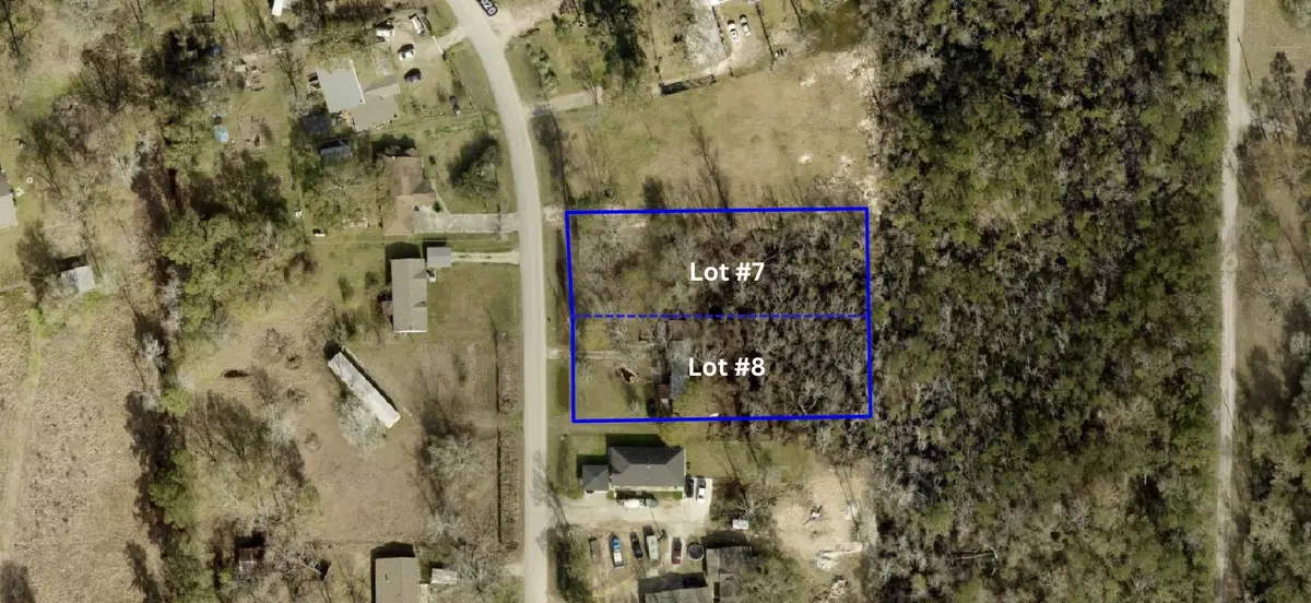 21171 Ferne Leaf Drive, Porter, TX 77365 - Image #1